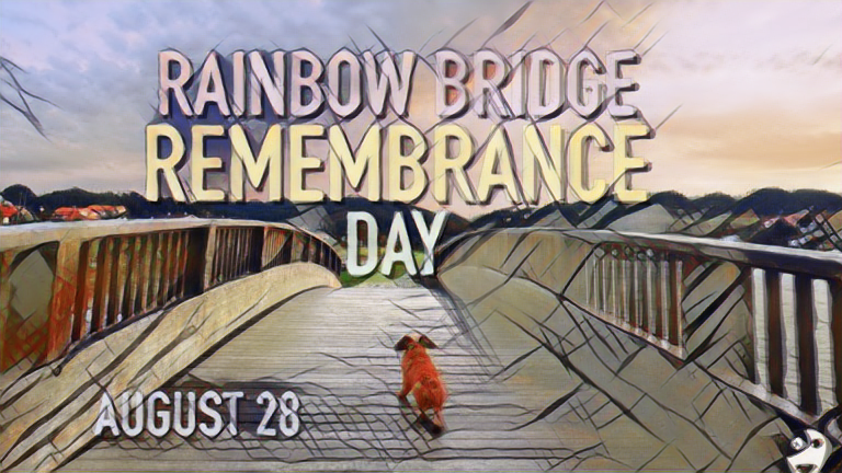 Rainbow Bridge Remembrance Day