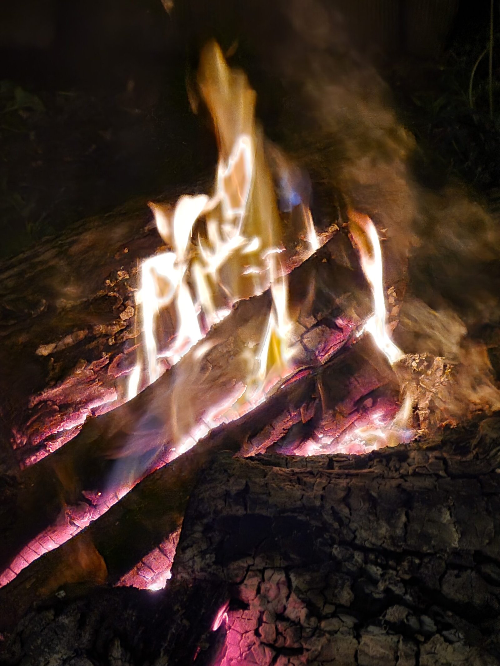 Welcome to our Campfire!