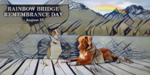 rainbow bridge remembrance day