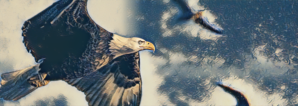 January 4th Wildlife Day